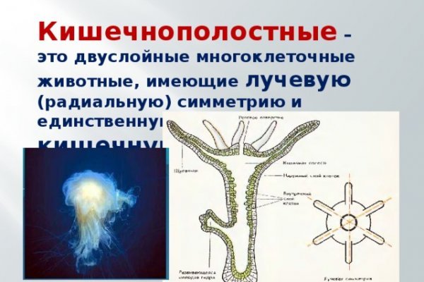 Как восстановить аккаунт кракен