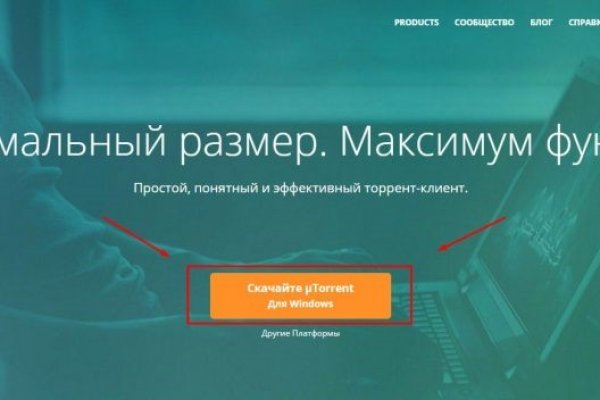 Почему не работает кракен