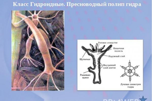 Кракен 16 даркнет продаж