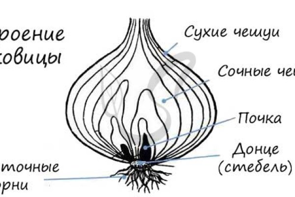 Кракен сайт 14